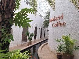 Dalaland coffee